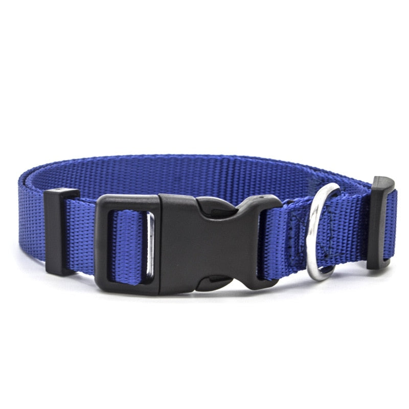 Canine Collars