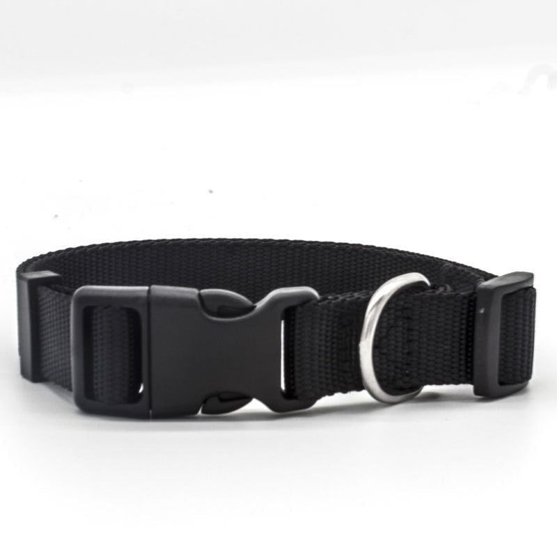 Canine Collars